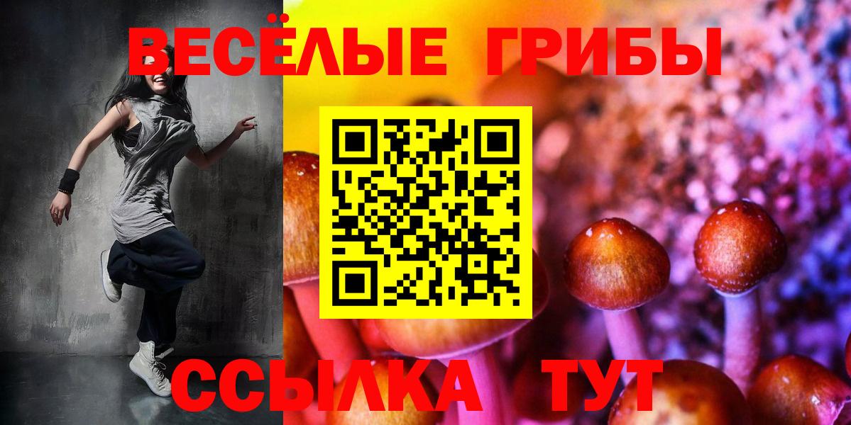 где продают   Вход с VPN  Бердск  Галлюциногенные грибы прущие грибы 