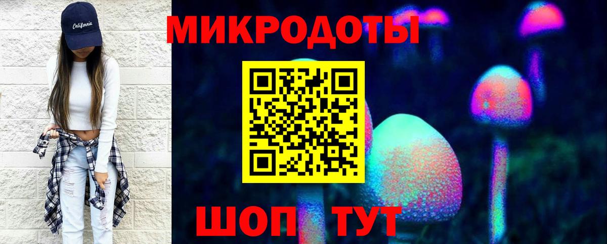 Псилоцибиновые грибы прущие грибы Бердск